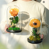 Sunlight in Bloom – Everlasting Flower Jar